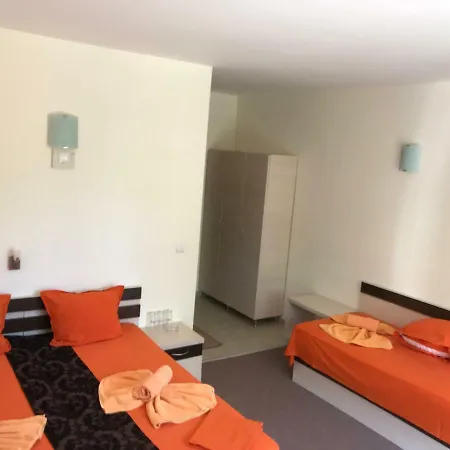 Family Golden Lion 프리모르스코