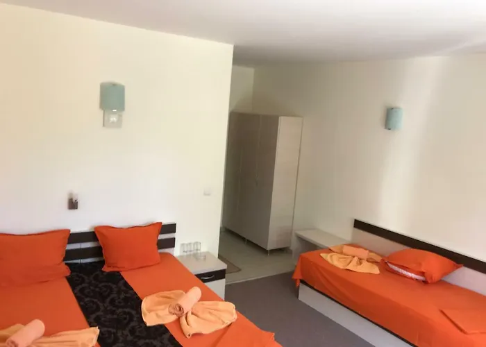 Family Golden Lion Primorszko